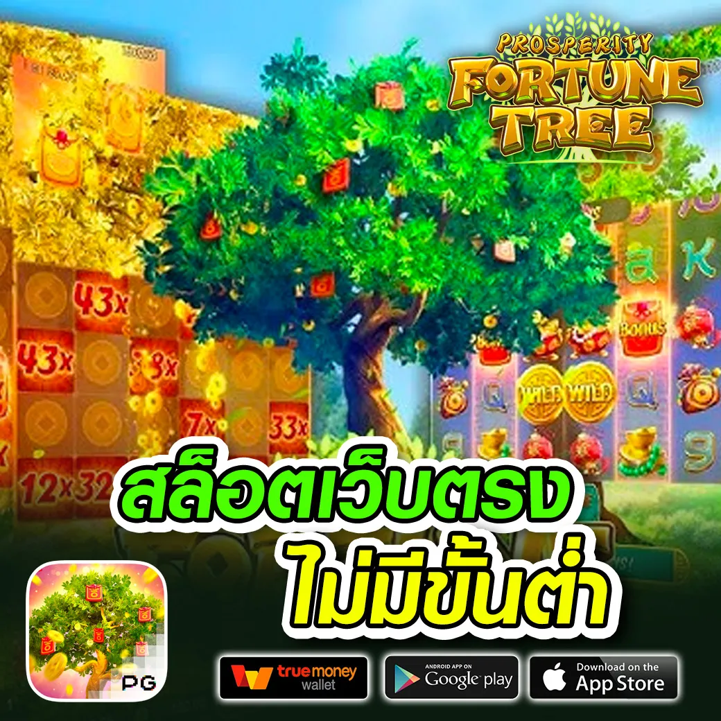 g2g56 ทาง เข้า